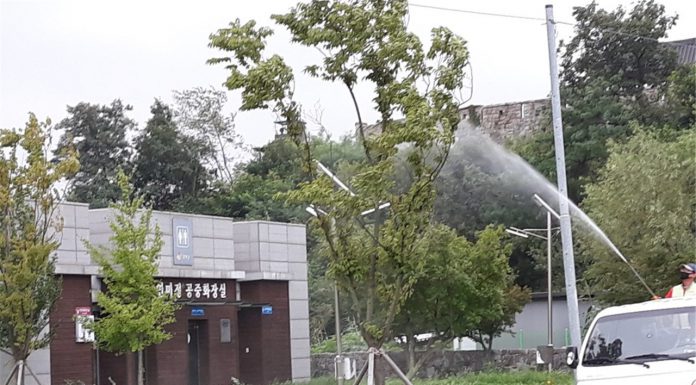 강화읍, 매미나방 등 돌발해충 집중 방제에 총력