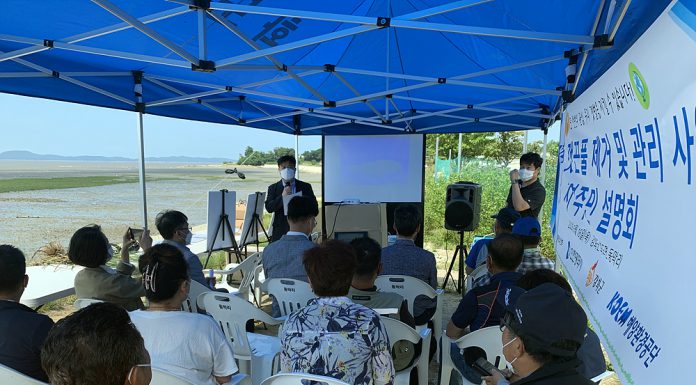 민․관 협력으로 깻끈풀 제거, ‘갯끈풀 없애고 생태계 살린다