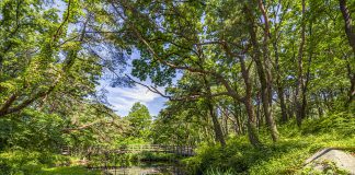 올 여름 휴가는 자연과 역사·문화가 어우러진 강화도에서