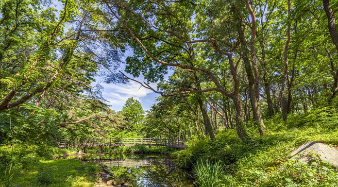 올 여름 휴가는 자연과 역사·문화가 어우러진 강화도에서