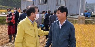 팔로 길이 막혀 재고미 잔뜩인데 햅쌀 수확기 겹쳐, 강화군 맛있는 ‘강화섬쌀 팔아주기 운동’ 대대적 전개