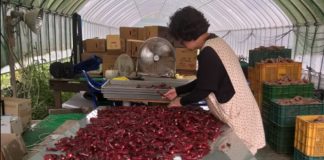 농업인 다용도 작업대 50% 지원 다음달 3일까지