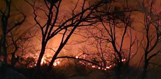 마니산 산불‘주불 진화 완료’