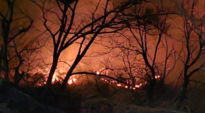 마니산 산불‘주불 진화 완료’