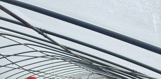 화도면장 고추묘 파종 영농현장 방문